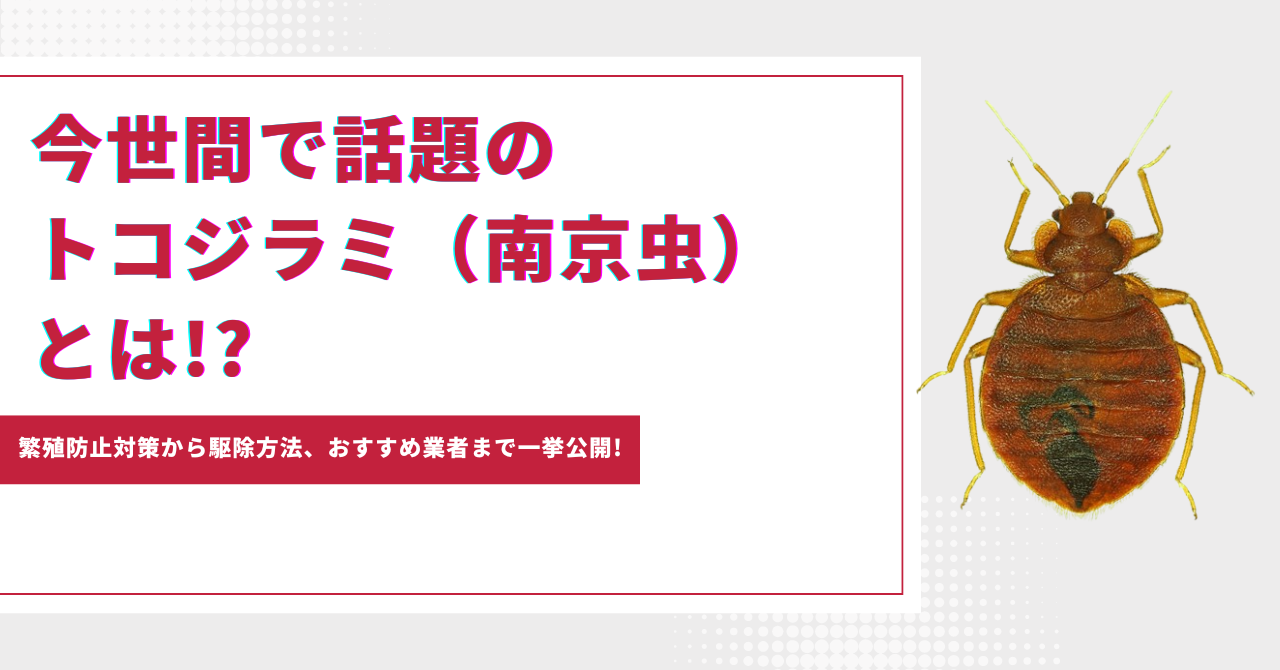 衝撃効果】今世間で話題のトコジラミ（南京虫）とは!? 繁殖防止対策から駆除方法、おすすめ業者まで一挙公開! -